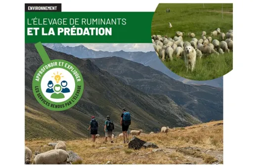 fiche CNE prédation