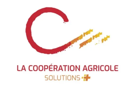 Logo Solutions +