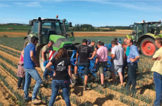 Marché de Phalempin
