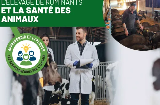 CNE sante animaux 