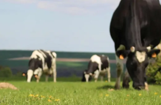 Prospérité fermière