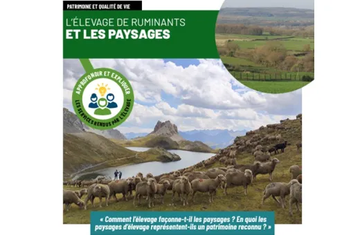 Fiche CNE élevage et paysages