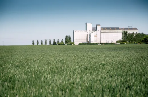 Champ de blé avec une coopérative en arrière-plan