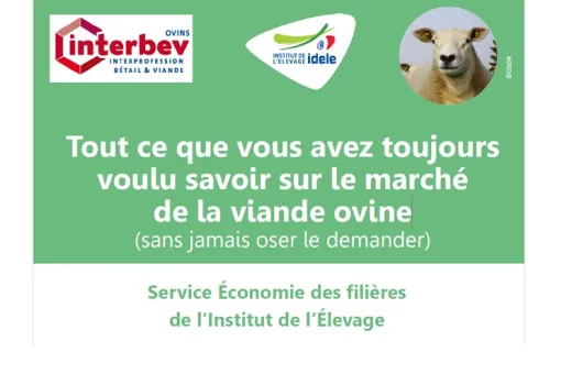 diapo fondamentaux marché viande ovine
