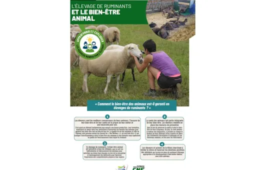 Fiche CNE Elevage BEA