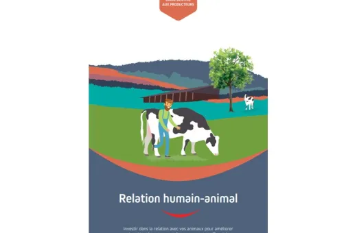 Guide Relation Himme-Animal