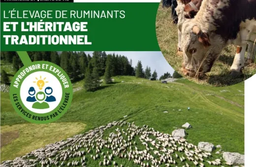 Page de garde - Fiche CNE héritage traditionnel
