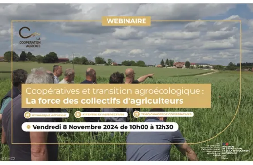 Webinaire 8-11