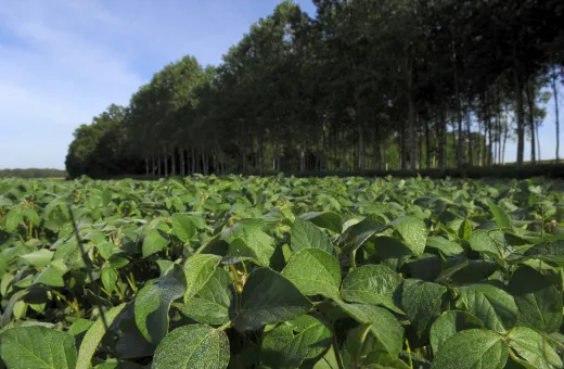 Solutions coopératives