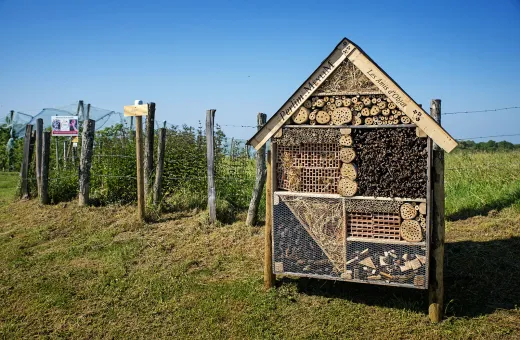 Solutions coopératives