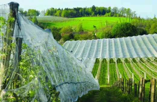 Solutions coopératives