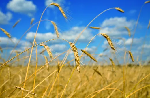 Solutions coopératives