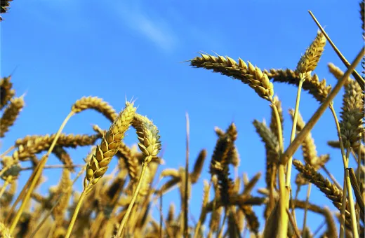 Solutions coopératives