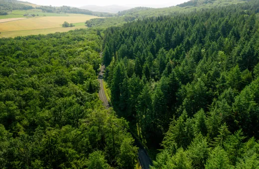 Solutions coopératives