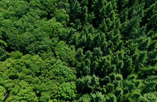 Solutions coopératives