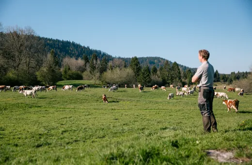 Solutions coopératives