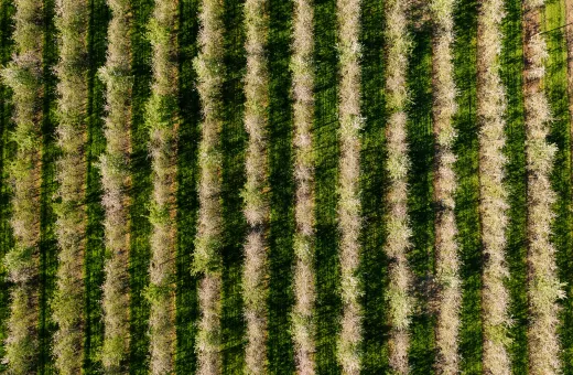 Solutions coopératives