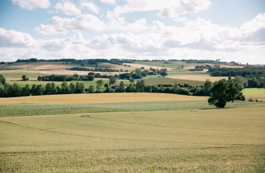Solutions coopératives