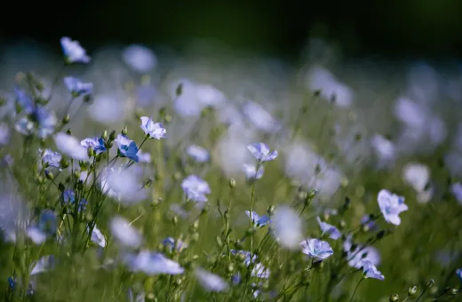 Solutions coopératives