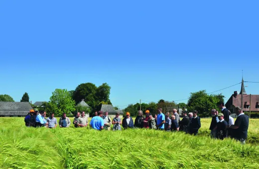 Solutions coopératives