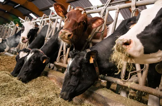 Solutions coopératives