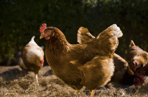 Solutions coopératives