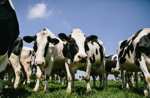 Solutions coopératives