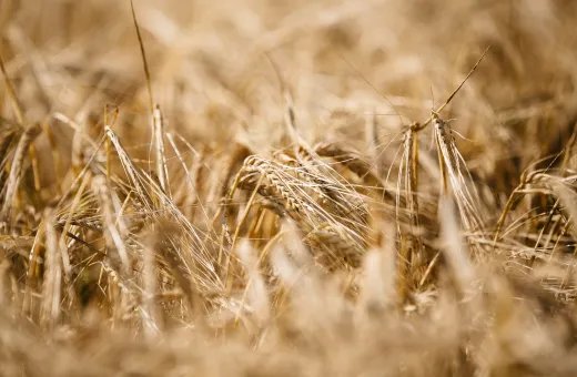 Solutions coopératives