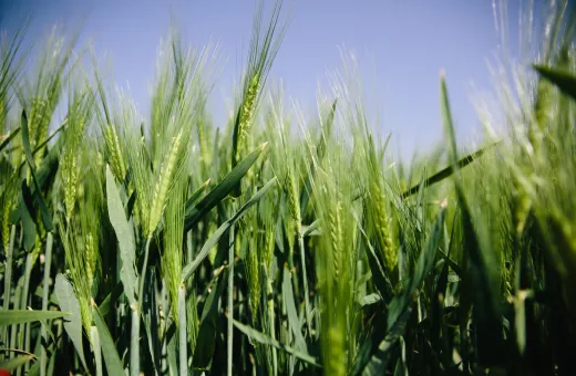 Solutions coopératives