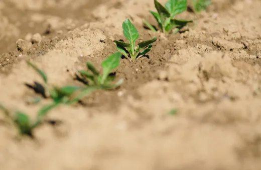 Solutions coopératives