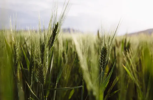 Solutions coopératives