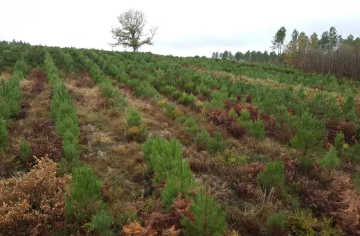 Solutions coopératives