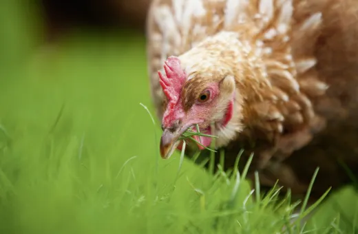 Solutions coopératives