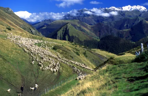 Solutions coopératives