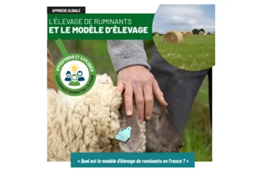 CNE modele elevage