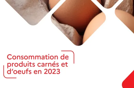 Bilan produits carnés 2024