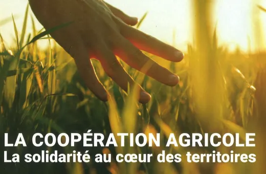 Solidarité au coeur des territoires