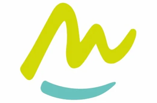 LOGO SOMMET