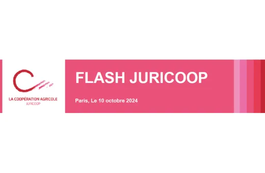 Flash Juricoop