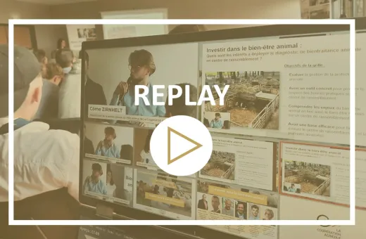 Replay des conférences BEA
