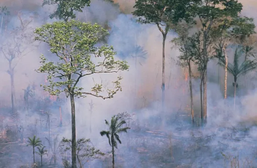 Déforestation EUDR