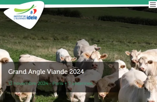 Grand angle viande 2024
