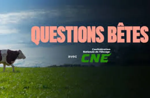 questions betes TF1