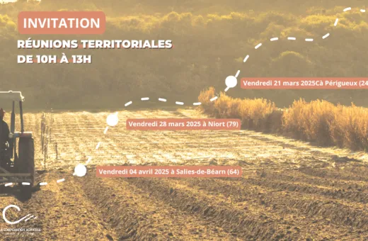 Territoriales 2025