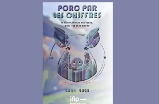 Porc par le chiffre ifip