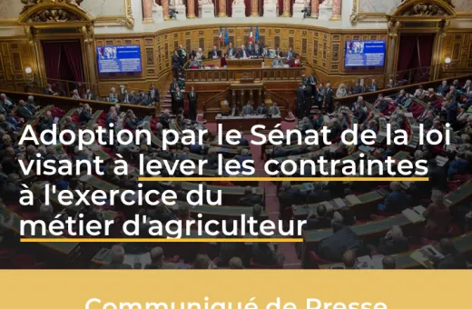 Visuel du Senat