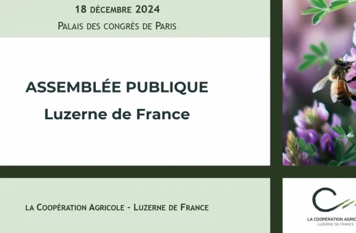 ag luzerne 2024