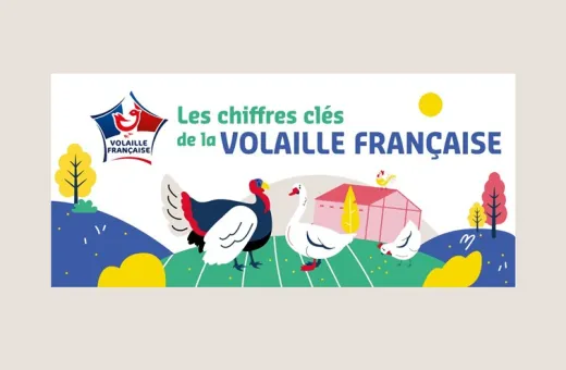 Chiffres clés de la volaille française