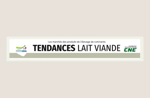 visuel tendance lait viande
