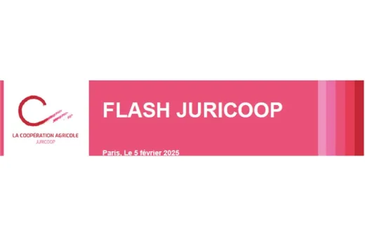 Flash Juricoop